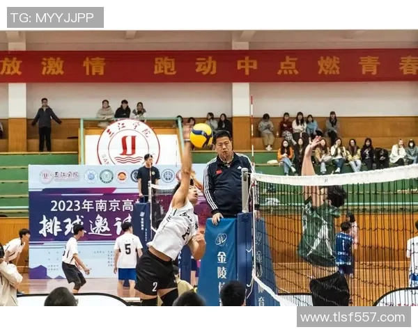 南京排球队团队协作的独特优势与其他球队的深度对比分析