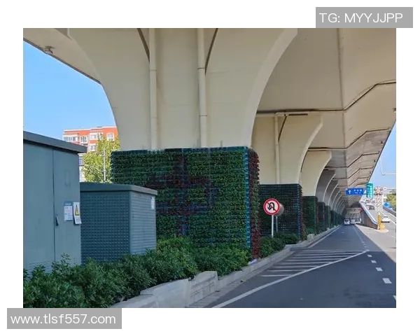 绿意盎然的足球明星们在赛场上如何展现环保理念与激情拼搏精神