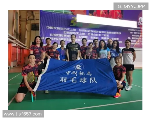 西安羽毛球队在大满贯赛事中的比赛经验与表现分析 西安羽毛球队在大满贯赛事中的比赛经验与表现分析