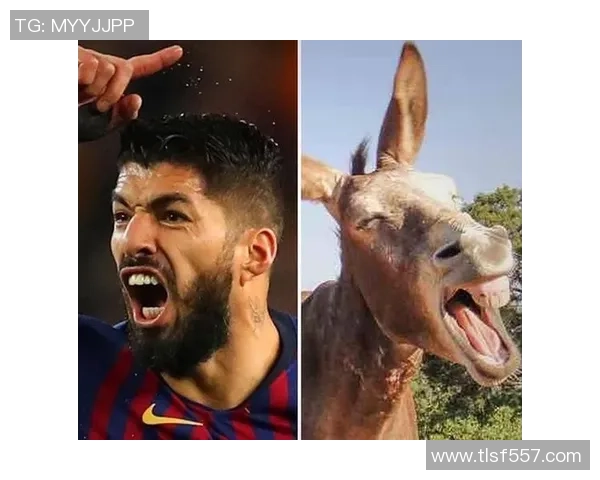 早起足球明星的搞笑表情包合集让你每天都充满活力与乐趣