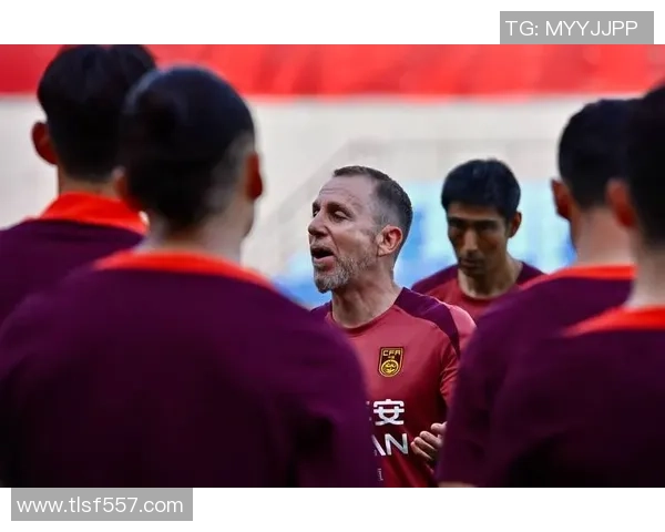 成都足球队球员实力榜单出炉最新个人能力TOP10引发热议