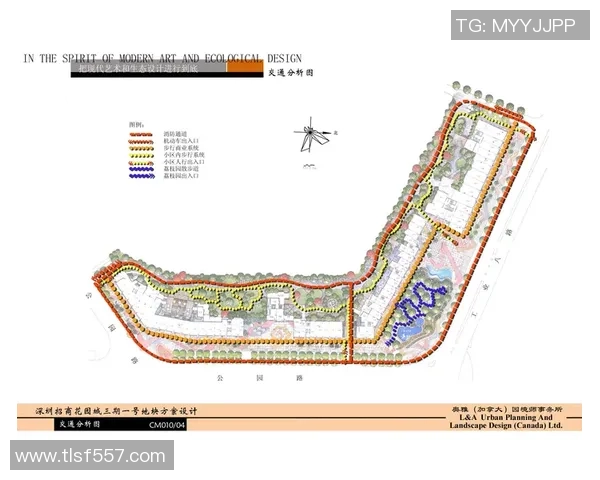 深圳羽毛球队近期状态分析与表现评估报告