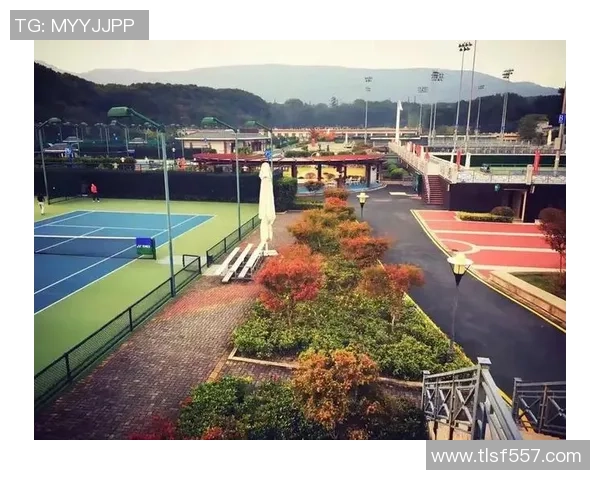 南京网球队运营模式解析与发展策略探讨助力网球运动普及