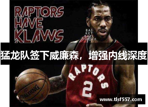 猛龙队签下威廉森，增强内线深度