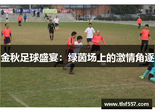 金秋足球盛宴：绿茵场上的激情角逐